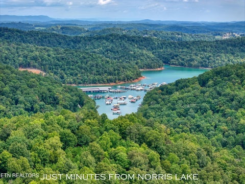 Tiny photo for 303 Tar Town Hollow Lane, LaFollette, TN 37766 (MLS # 1355655)
