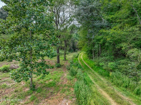 Tiny photo for 303 Tar Town Hollow Lane, LaFollette, TN 37766 (MLS # 1355655)