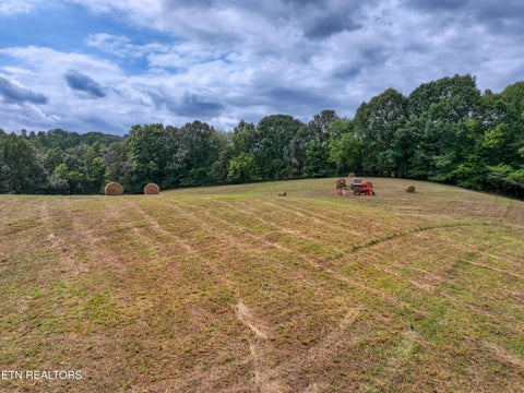 Tiny photo for 303 Tar Town Hollow Lane, LaFollette, TN 37766 (MLS # 1355655)
