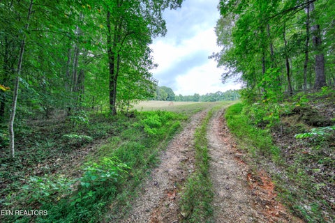 Tiny photo for 303 Tar Town Hollow Lane, LaFollette, TN 37766 (MLS # 1355655)