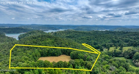 Photo of 303 Tar Town Hollow Lane, LaFollette, TN 37766 (MLS # 1355655)