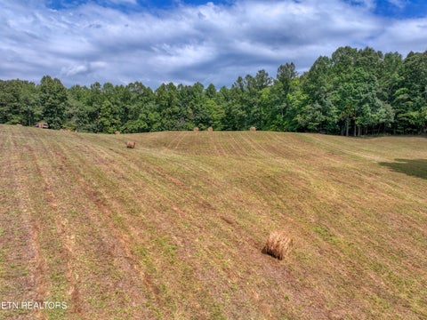 Tiny photo for 303 Tar Town Hollow Lane, LaFollette, TN 37766 (MLS # 1355655)