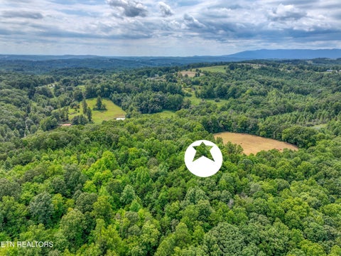 Tiny photo for 303 Tar Town Hollow Lane, LaFollette, TN 37766 (MLS # 1355655)