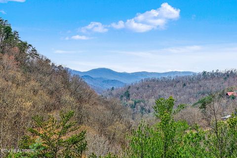 Tiny photo for 130 Little Round Top Lane, Townsend, TN 37882 (MLS # 1335961)