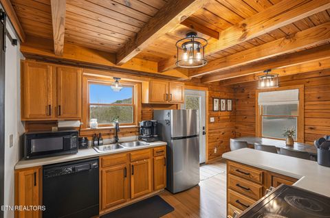 Tiny photo for 130 Little Round Top Lane, Townsend, TN 37882 (MLS # 1335961)