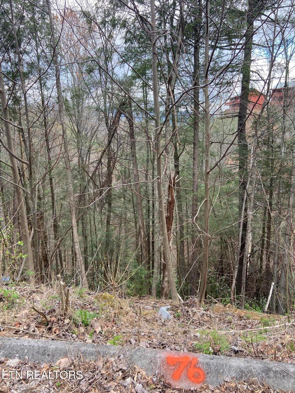 Photo of Lot 76 Smoky Ridge Way, Sevierville, TN 37862 (MLS # 1279855)