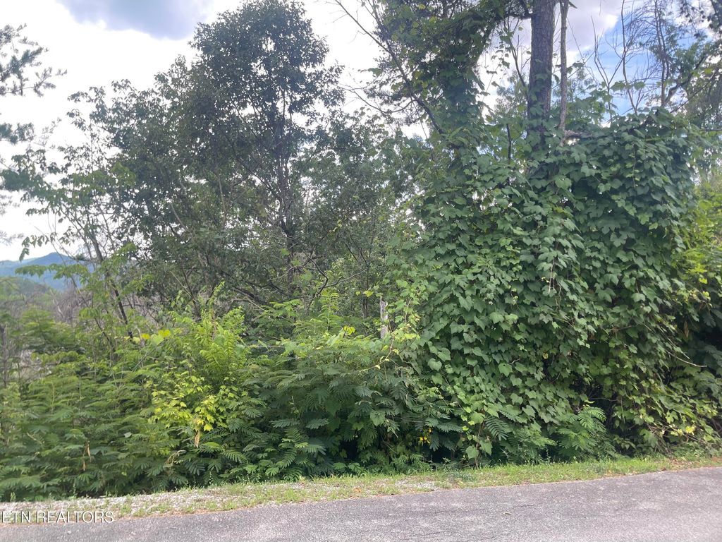 Photo of River Birch Way, Sevierville, TN 37862 (MLS # 1268846)