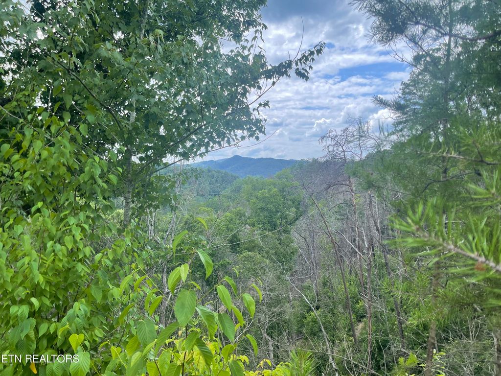 Photo of River Birch Way, Sevierville, TN 37862 (MLS # 1268846)