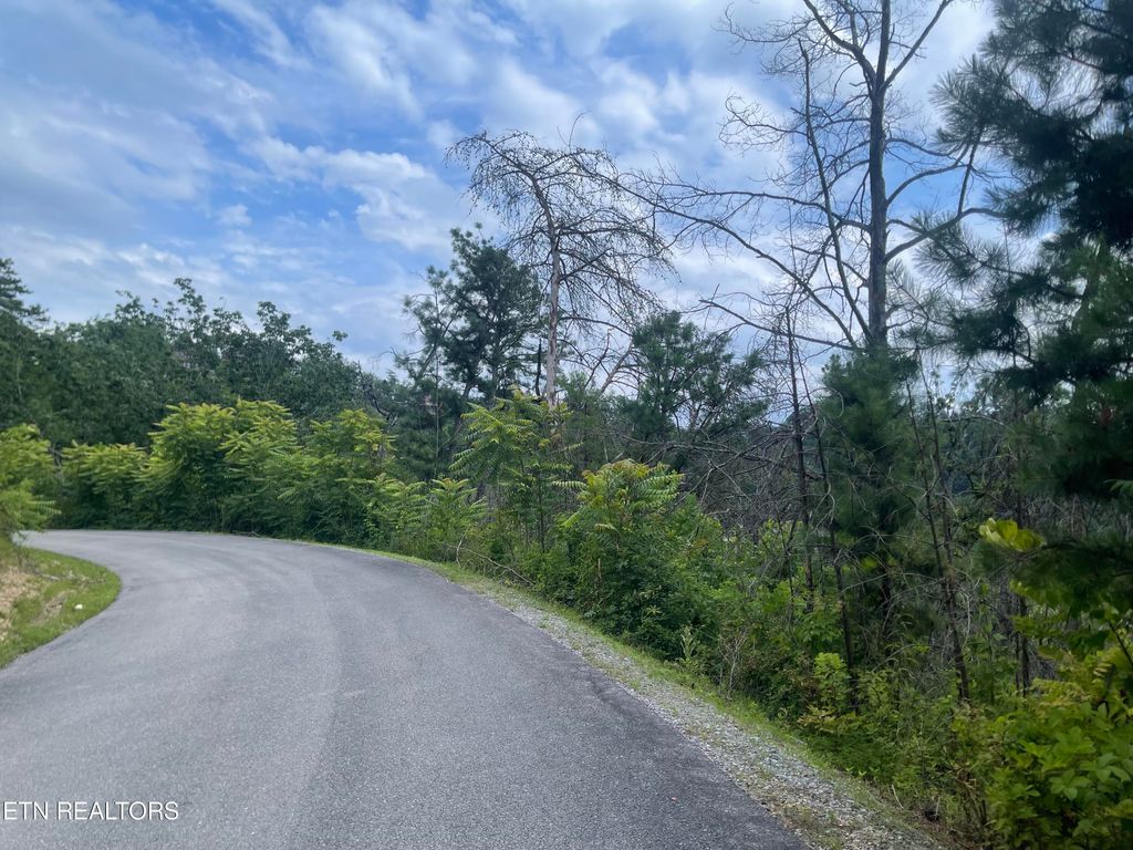 Photo of River Birch Way, Sevierville, TN 37862 (MLS # 1268846)