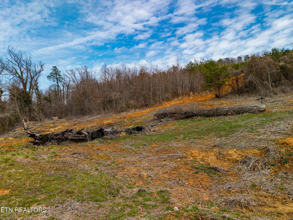 Photo of 6915 TN-360, Tellico Plains, TN 37385 (MLS # 1330242)