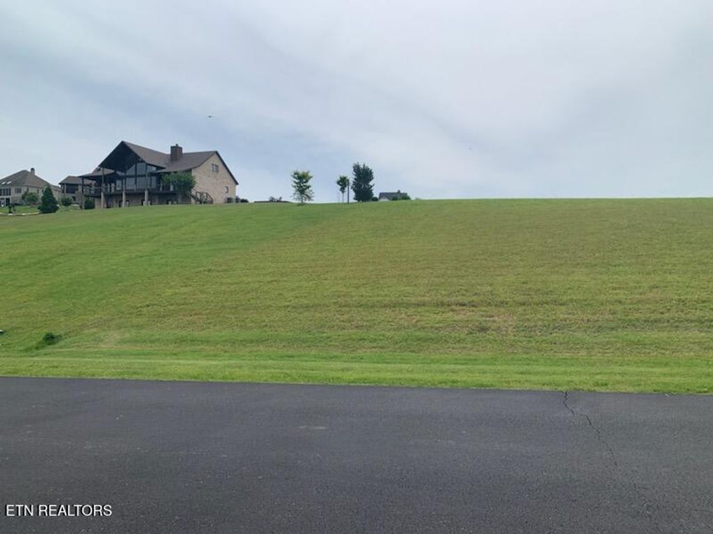 Photo of 323 W Shore Drive, Rockwood, TN 37854 (MLS # 1293854)