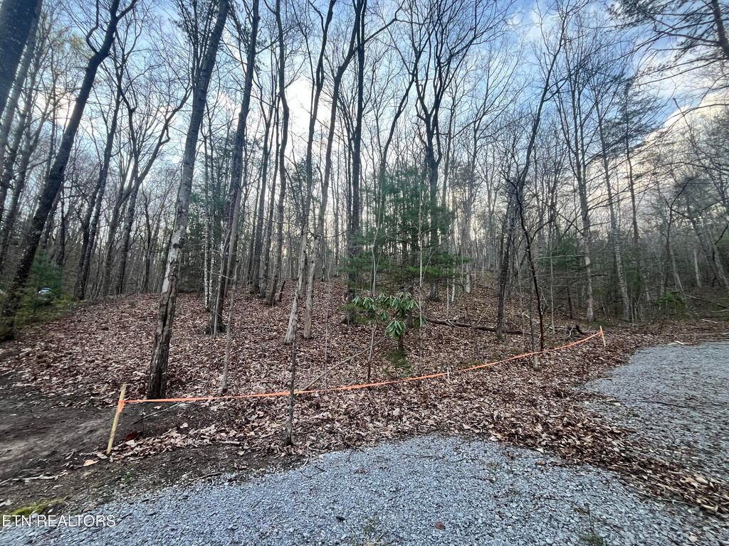 Photo of 6871 Holiday Drive, Tallassee, TN 37878 (MLS # 1335260)