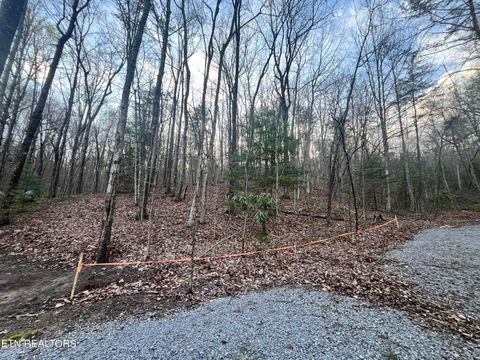 Photo of 6871 Holiday Drive, Tallassee, TN 37878 (MLS # 1335260)