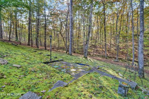 Tiny photo for 226 Snead Drive, Crossville, TN 38558 (MLS # 1319878)