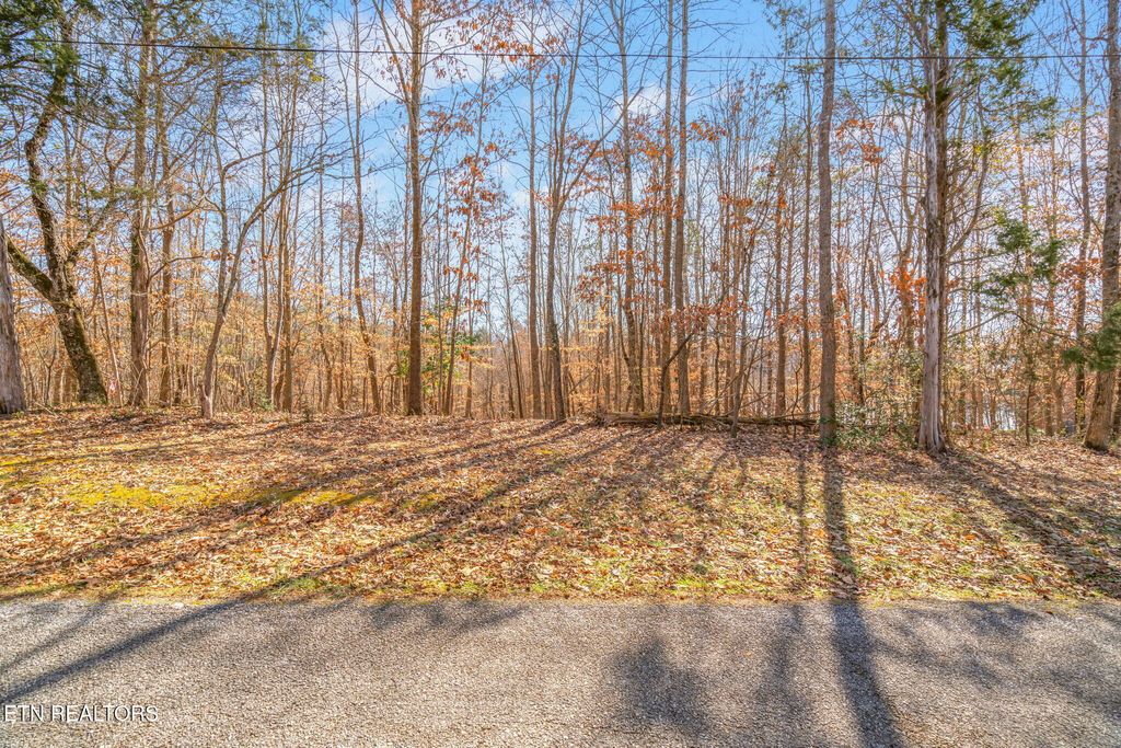 Photo of 173 Cedar Point Drive, Kingston, TN 37763 (MLS # 1288611)