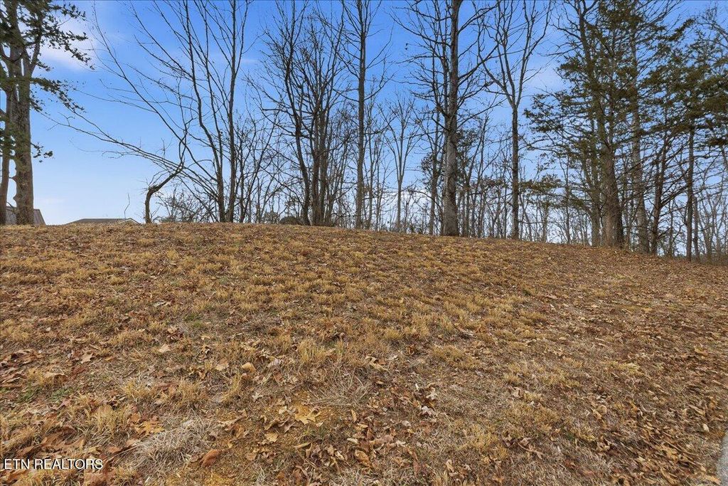 Photo of 39 Buckhead Tr, White Pine, TN 37890 (MLS # 1329817)