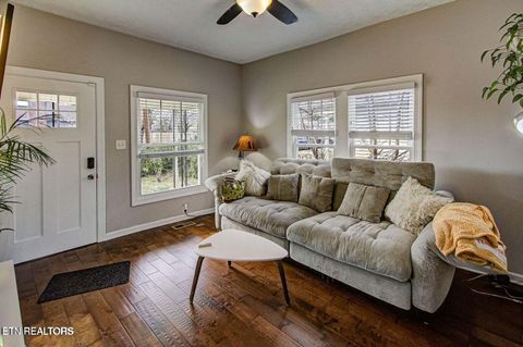 Tiny photo for 2502 Harvey St, Knoxville, TN 37917 (MLS # 1332653)