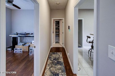 Tiny photo for 2502 Harvey St, Knoxville, TN 37917 (MLS # 1332653)