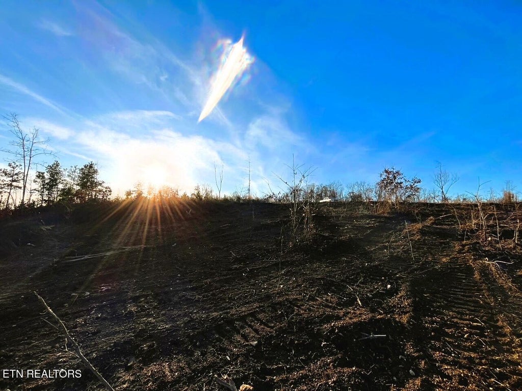 Photo of 1667 Euchee Road, Ten Mile, TN 37880 (MLS # 1286802)