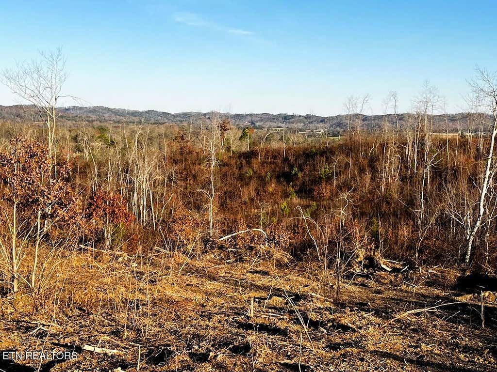 Photo of 1667 Euchee Road, Ten Mile, TN 37880 (MLS # 1286802)