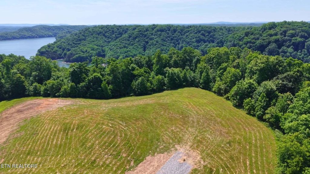 Photo of 598 J T Foster Rd, Allons, TN 38541 (MLS # 1342151)