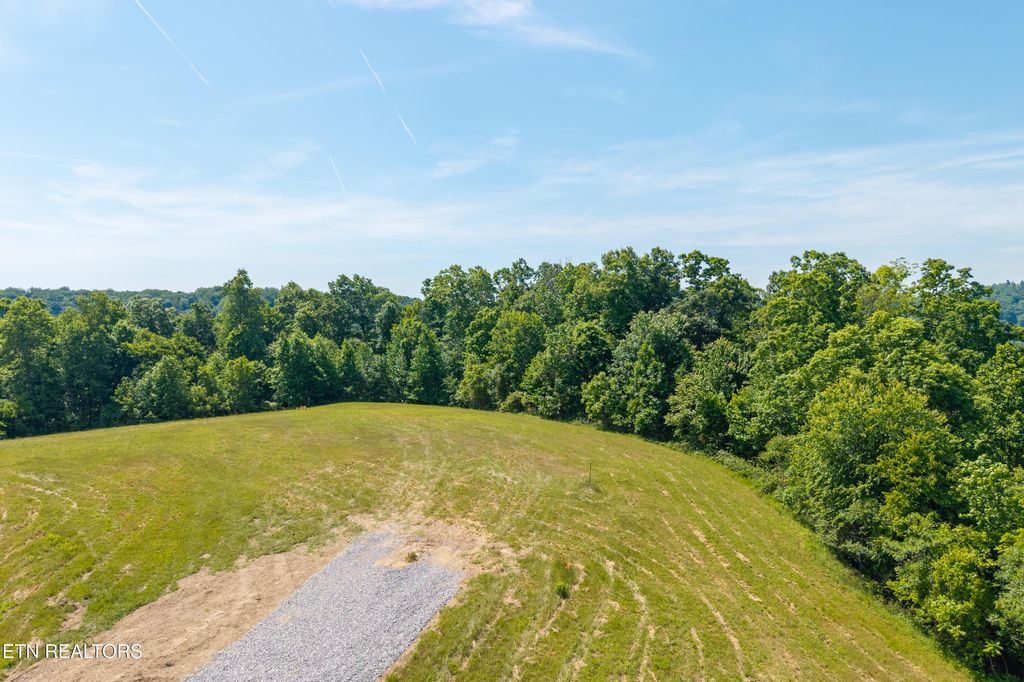 Photo of 598 J T Foster Rd, Allons, TN 38541 (MLS # 1342151)