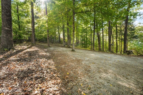 Tiny photo for 228 Blue Heron Way, Ten Mile, TN 37880 (MLS # 1360357)