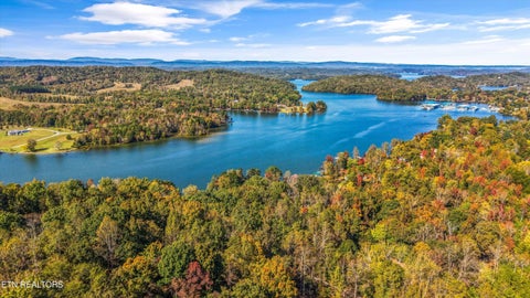 Tiny photo for 228 Blue Heron Way, Ten Mile, TN 37880 (MLS # 1360357)