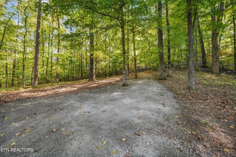 Tiny photo for 228 Blue Heron Way, Ten Mile, TN 37880 (MLS # 1360357)