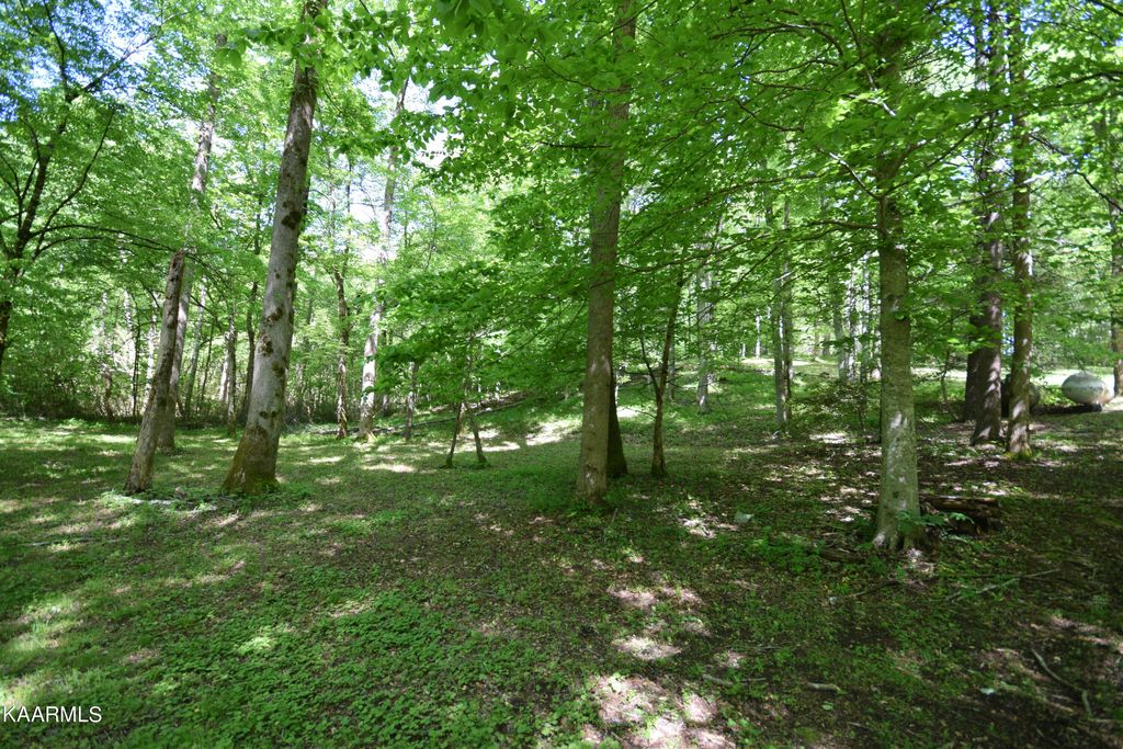 Photo of 3 Long Branch Rd, Townsend, TN 37882 (MLS # 1226853)