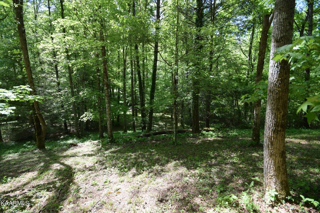 Photo of 3 Long Branch Rd, Townsend, TN 37882 (MLS # 1226853)