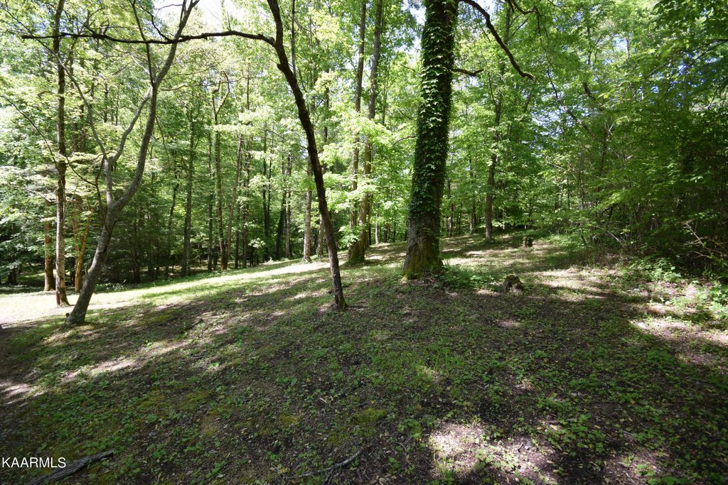 Photo of 3 Long Branch Rd, Townsend, TN 37882 (MLS # 1226853)