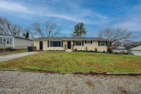 Tiny photo for 2010 Berea Ave, Knoxville, TN 37920 (MLS # 1323745)