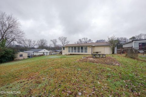 Tiny photo for 2010 Berea Ave, Knoxville, TN 37920 (MLS # 1323745)