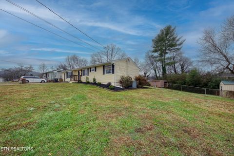 Tiny photo for 2010 Berea Ave, Knoxville, TN 37920 (MLS # 1323745)