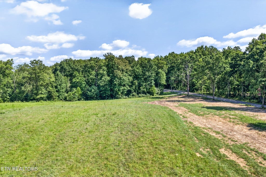 Photo of 16 Smith Mountain Rd, Rockwood, TN 37854 (MLS # 1353067)