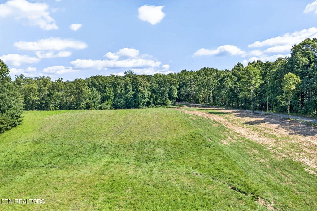 Photo of 16 Smith Mountain Rd, Rockwood, TN 37854 (MLS # 1353067)