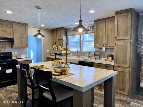 Tiny photo for 6435 Back Valley Rd, Evensville, TN 37332 (MLS # 1327860)