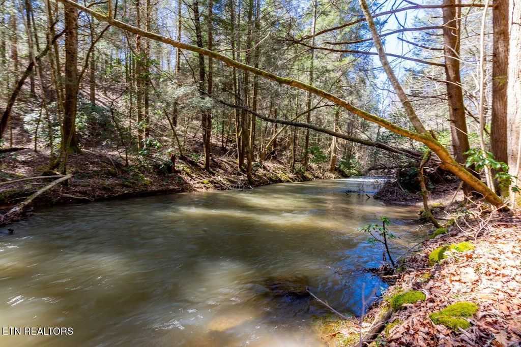 Photo of 140 Luna Lane, Spring City, TN 37381 (MLS # 1333153)