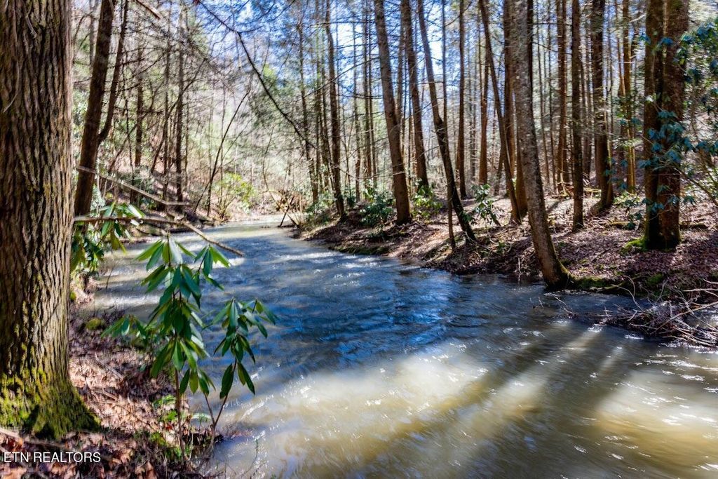 Photo of 140 Luna Lane, Spring City, TN 37381 (MLS # 1333153)