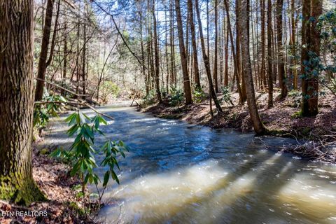 Photo of 140 Luna Lane, Spring City, TN 37381 (MLS # 1333153)