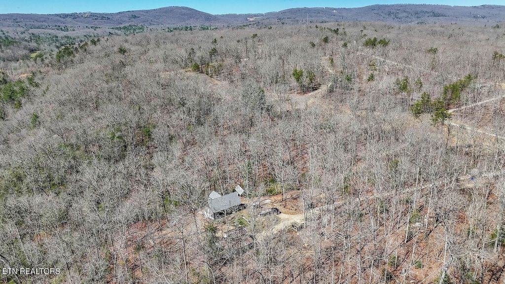 Photo of 140 Luna Lane, Spring City, TN 37381 (MLS # 1333153)