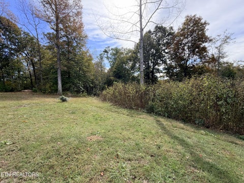 Tiny photo for 3029 N York Hwy, Pall Mall, TN 38577 (MLS # 1359516)