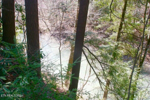 Tiny photo for 3029 N York Hwy, Pall Mall, TN 38577 (MLS # 1359516)