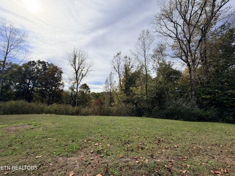 Tiny photo for 3029 N York Hwy, Pall Mall, TN 38577 (MLS # 1359516)