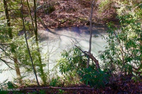 Tiny photo for 3029 N York Hwy, Pall Mall, TN 38577 (MLS # 1359516)