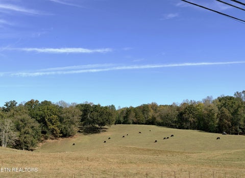 Tiny photo for 3029 N York Hwy, Pall Mall, TN 38577 (MLS # 1359516)