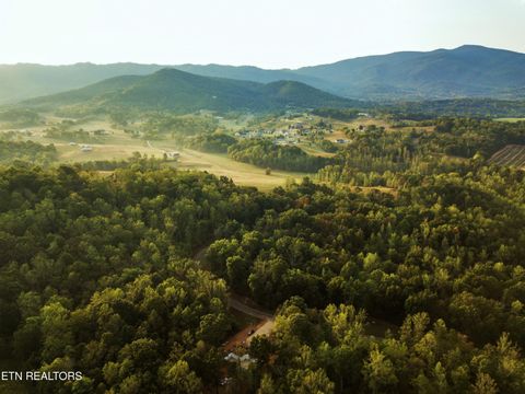 Tiny photo for 226 Meadowood Rd, Newport, TN 37821 (MLS # 1331540)