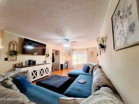 Tiny photo for 812 Maple Lane, Madisonville, TN 37354 (MLS # 1319651)