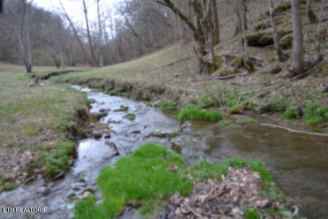 Photo of 290 Hazel Huffines Lane, Whitleyville, TN 38588 (MLS # 1356375)